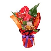 Orange Embrace Antoryum