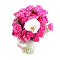 Pure Pink Roses & Orkide