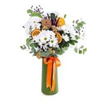 Daisy Sunshine Papatya