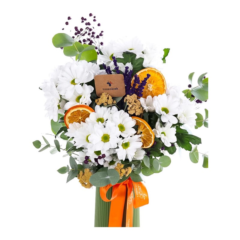 Daisy Sunshine Papatya