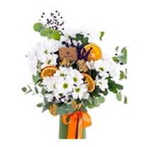 Daisy Sunshine Papatya