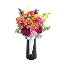 Blush Bloom Serenade Güller