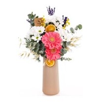 Happy Daisy Beyaz Papatyalar