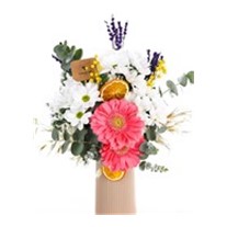 Happy Daisy Beyaz Papatyalar