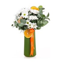 Fresh Daisy Beyaz Papatyalar