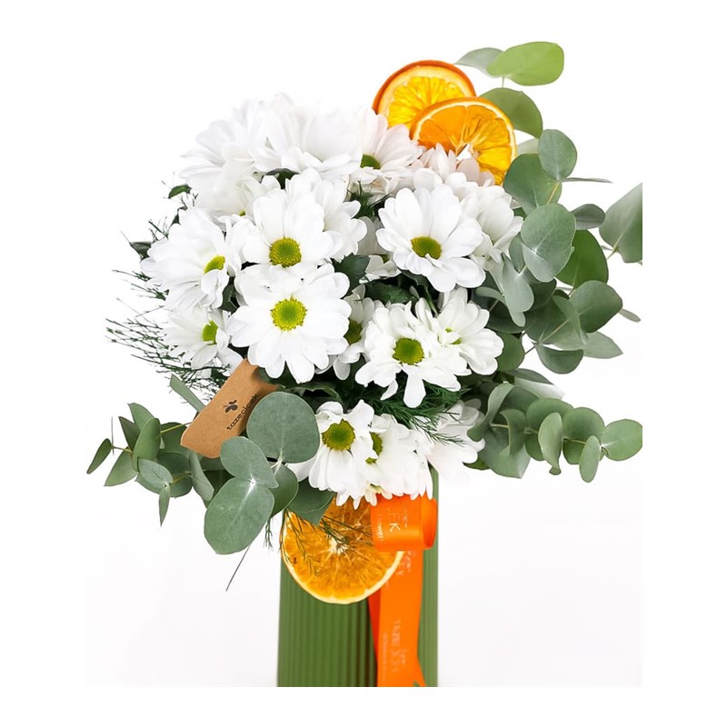 Fresh Daisy Beyaz Papatyalar