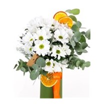 Fresh Daisy Beyaz Papatyalar