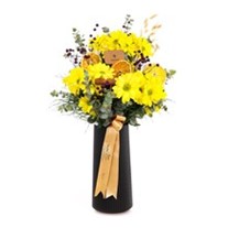 Yellow Daisy Power Papatya