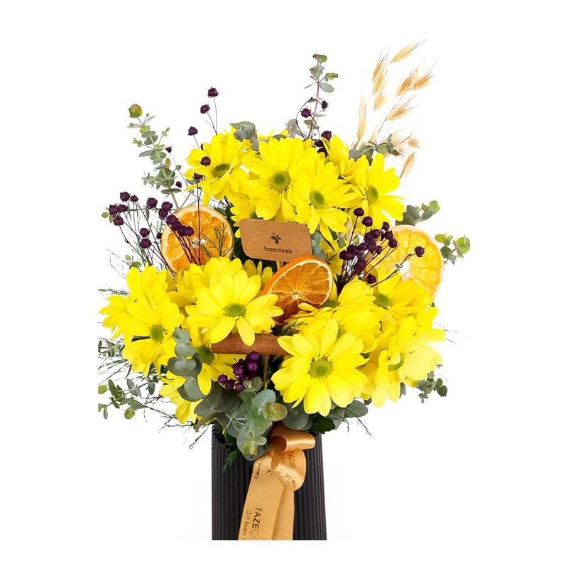 Yellow Daisy Power Papatya
