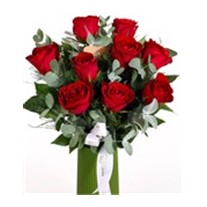 Kisses of Shades 9 Kırmızı Gül