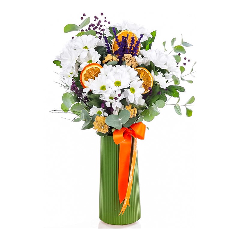 Daisy Sunshine Papatya