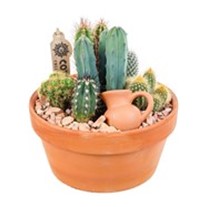 Boho Green Terracotta Kaktüs