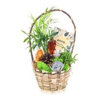 Calm Basket Sukulent Aranjmanı