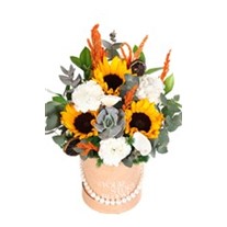 Botanical Bliss Ayçiçeği Aranjmanı