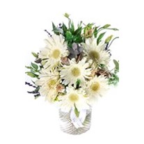 Coy Gerbera Aranjmanı