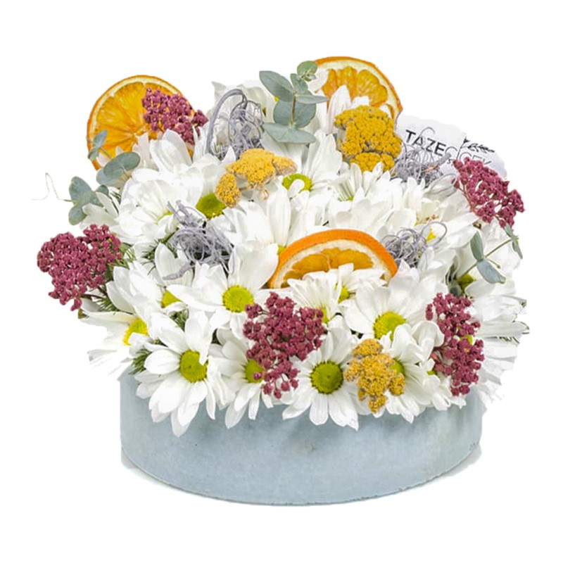 Natural Daisy Sunlight Papatya