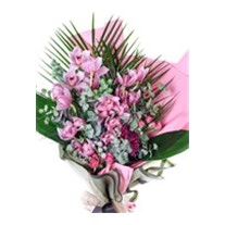 Pastel Orchid Grace Premium Buket
