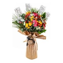 Rustic Colorburst