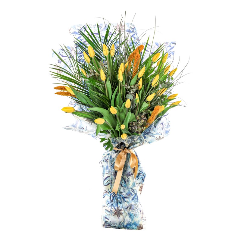 Yellow Tulip Wind