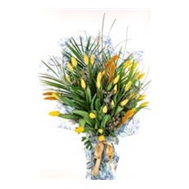 Yellow Tulip Wind
