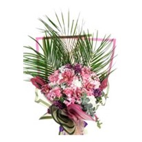 Tropical Romance