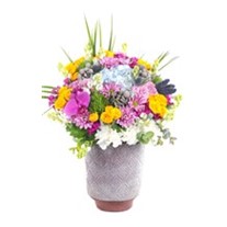 Bloom Carnival Premium Aranjman