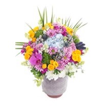 Bloom Carnival Premium Aranjman