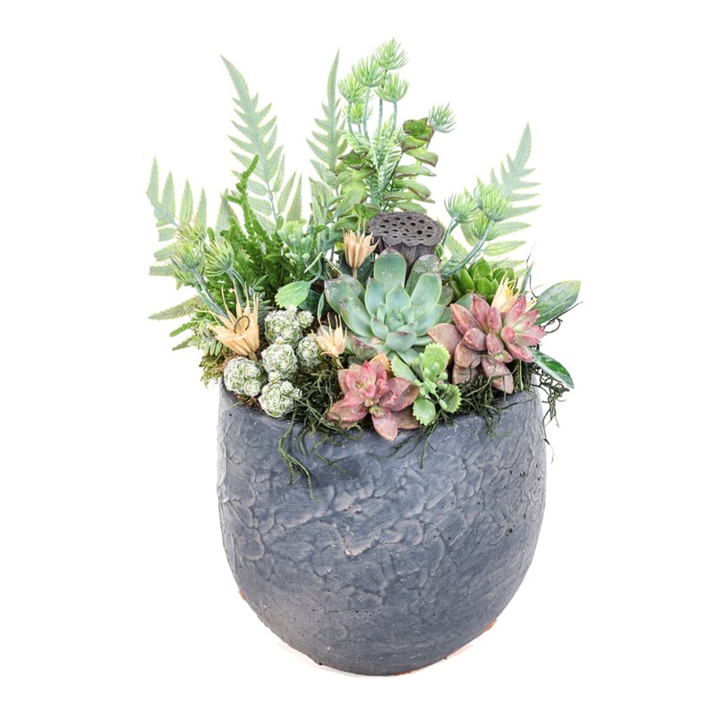 Raw Nature Bloom