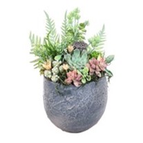 Raw Nature Bloom
