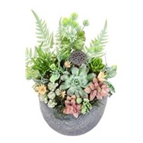 Raw Nature Bloom