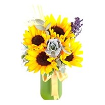Greatness Sunflower Ayçiçeği