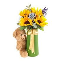 Pretty Bear & Sunflower Ayçiçeği