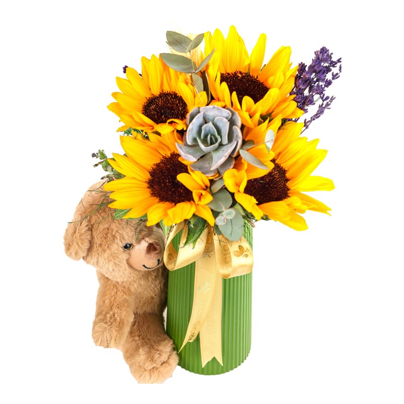 Pretty Bear & Sunflower Ayçiçeği