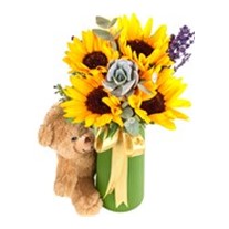 Pretty Bear & Sunflower Ayçiçeği