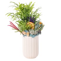 Tropical Bliss Vazoda Sukulent
