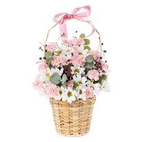 Blush & Bloom Papatya Sepeti