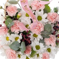 Blush & Bloom Papatya Sepeti