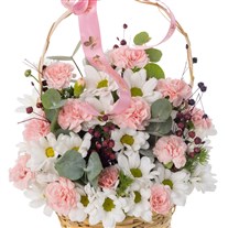 Blush & Bloom Papatya Sepeti