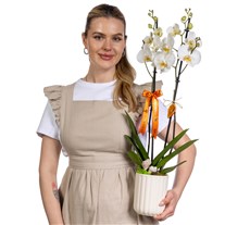 Luxe Velvet White Orkide