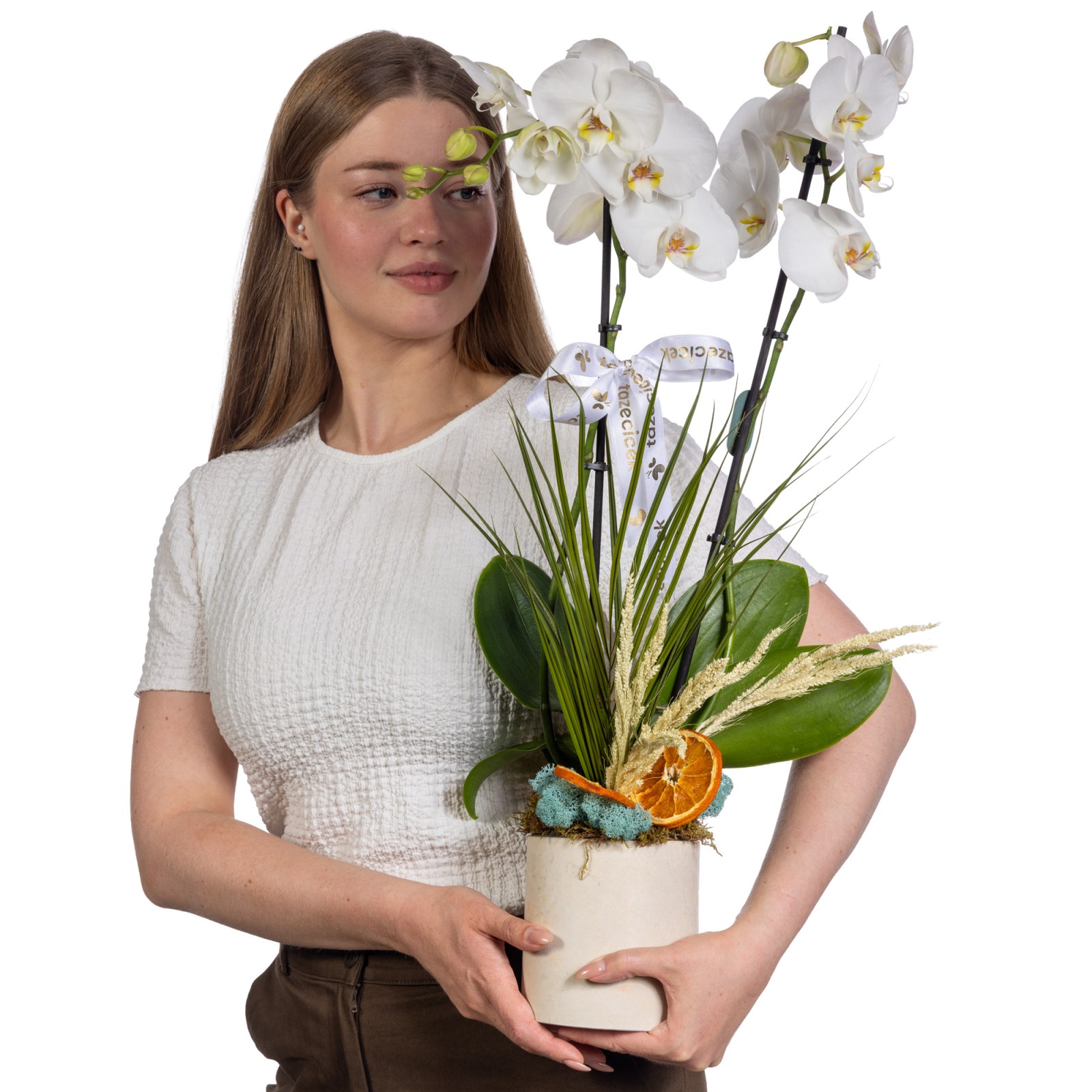Double White Santana Orkide