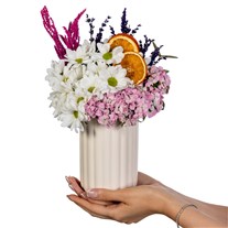 Citrus Bloom Delight Papatyalar