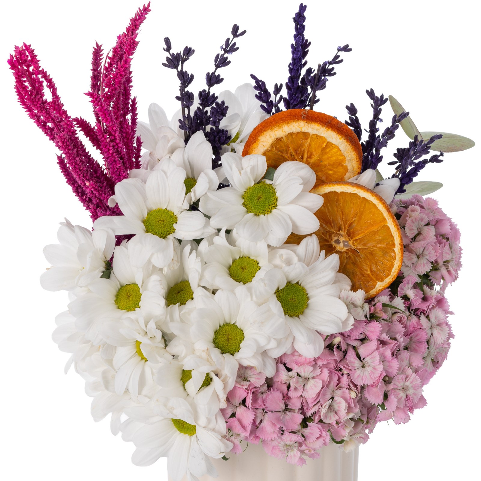 Citrus Bloom Delight Papatyalar