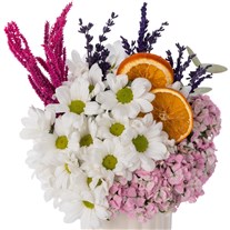 Citrus Bloom Delight Papatyalar