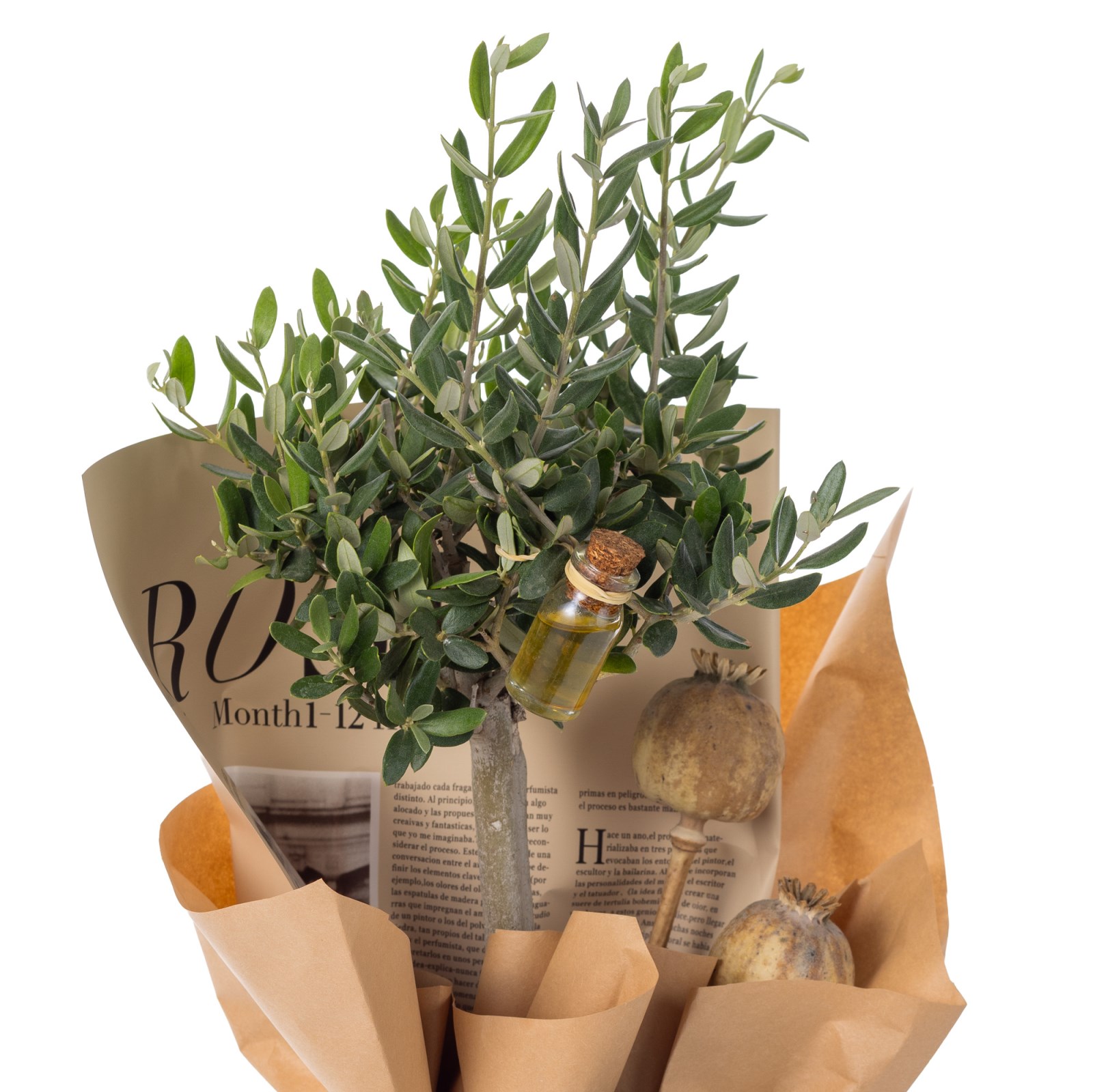 Olive Whisper Zeytin Ağacı