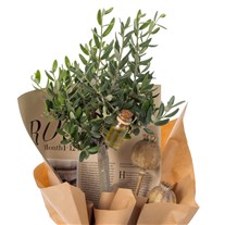 Olive Whisper Zeytin Ağacı
