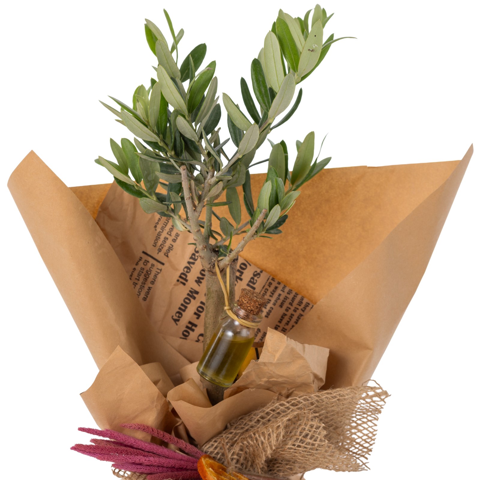 Olive Harmony Zeytin Ağacı
