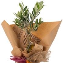 Olive Harmony Zeytin Ağacı