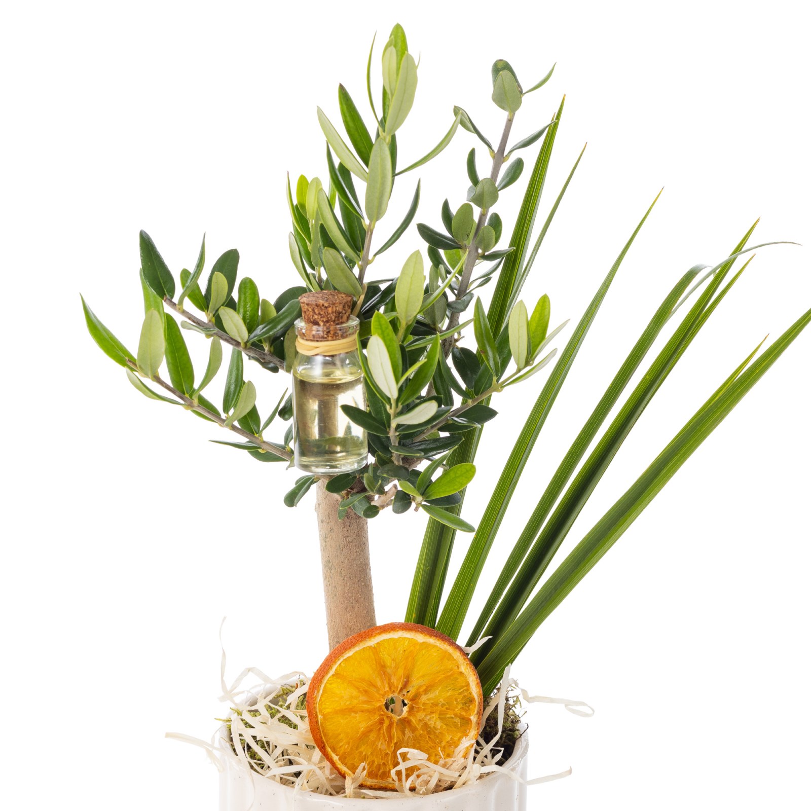 Olive Bloom Charm Zeytin Ağacı