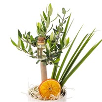 Olive Bloom Charm Zeytin Ağacı