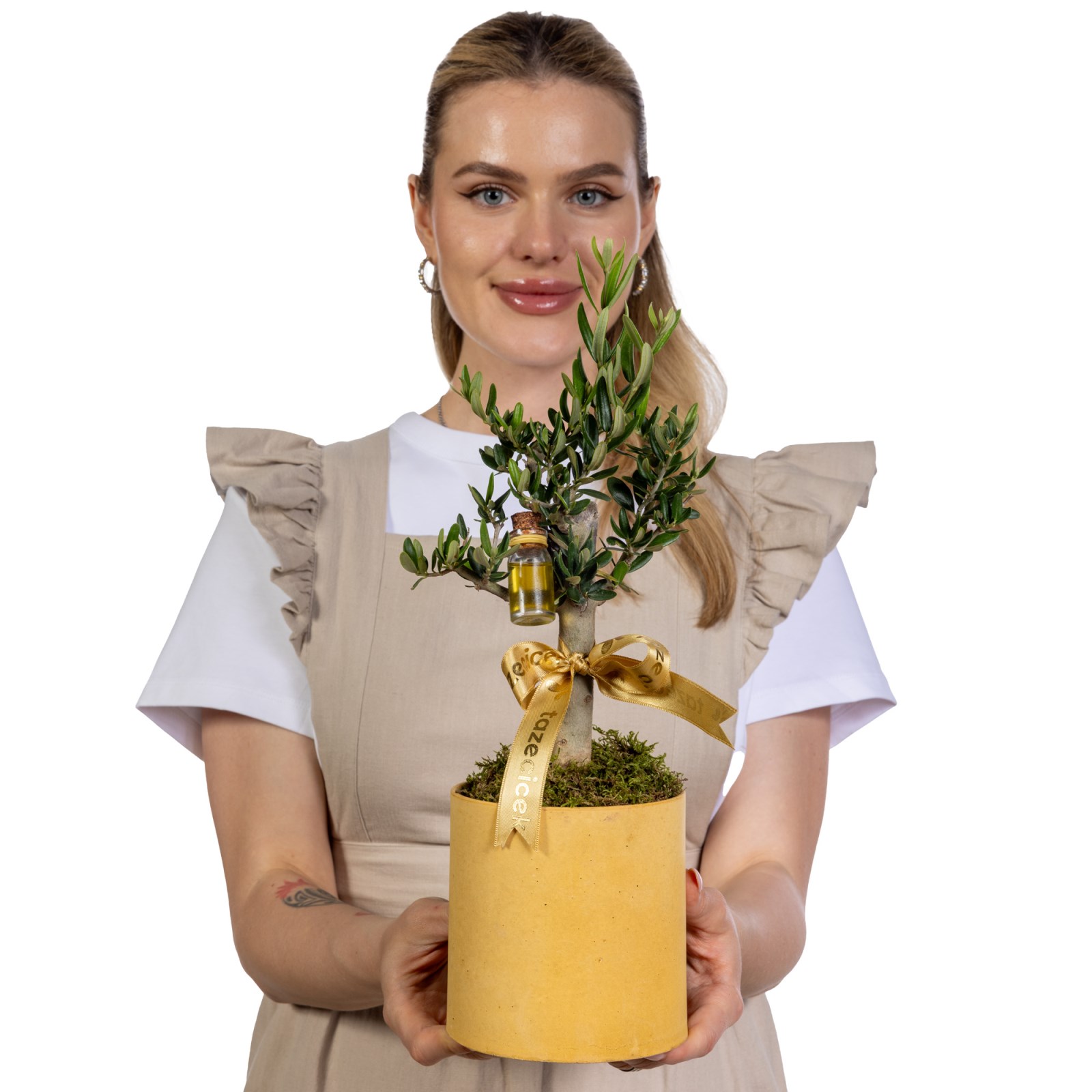 Olive Aura Zeytin Ağacı